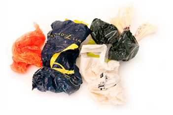 Scottish_bags
