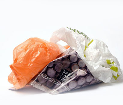 plastic bags