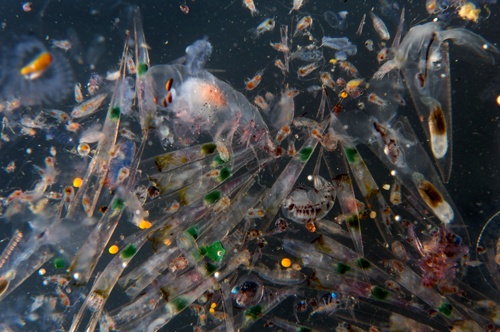 A UK ban on ocean-polluting microbeads gets closer, but we’re not quite there