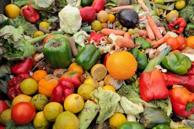Food waste crisis