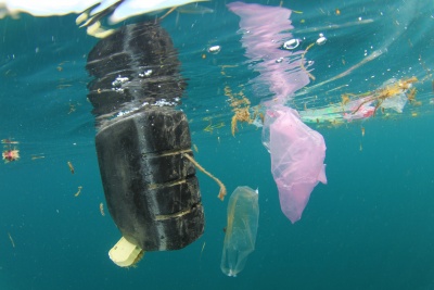 Bottle deposit return schemes needed to tackle marine plastic pollution, says Green Alliance