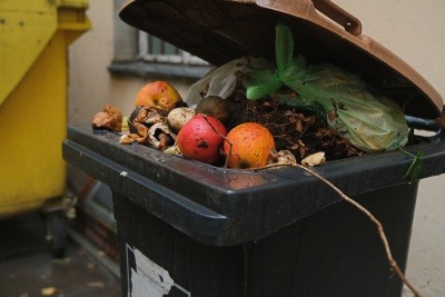 A bin full of food waste