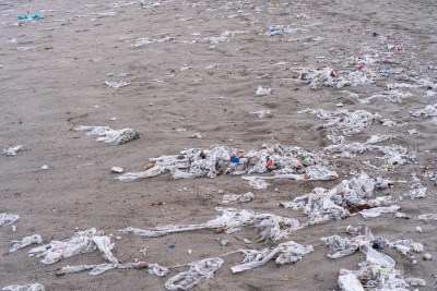Wet wipes and other litter on a beach