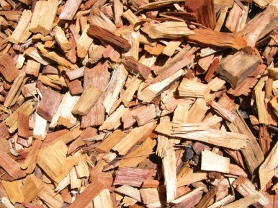 biomass