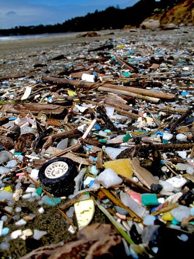 More overseas waste aid needed to combat ocean plastics, says CIWM