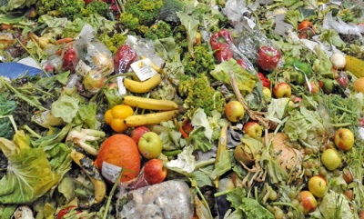Force retailers to publish food waste figures, say MPs