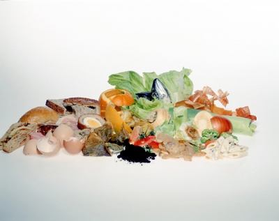 EFRA report highlights ‘unacceptable’ levels of food waste