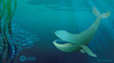 UN Oceans Conference makes ‘call to action’ on ocean pollution UN Oceans Conference makes ‘call to action’ on ocean pollution