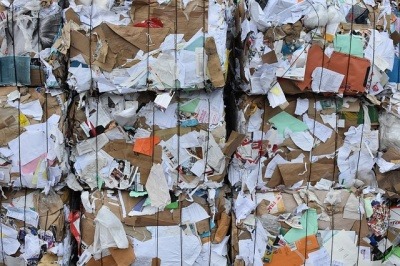 Paper recycling rates