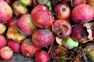 Five apps taking the fight to food waste