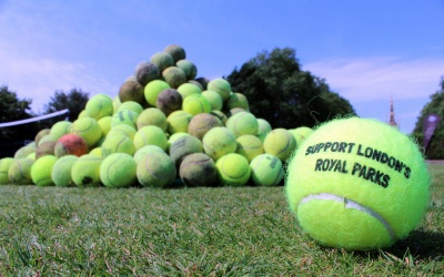 tennis ball: Tennis balls may take 400 years to decompose;  Environmentalists, game's governing body clueless - The Economic Times