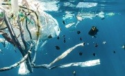 Photo of plastic waste in the ocean by Naja Bertolt Jensen (unsplash)