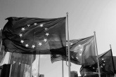 EU flag black and white