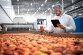 Person reviewing food quality in production