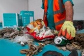 An image of the beach waste collected by the Kik-Plastic challenge