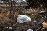 Littering 