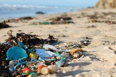 Great British Beach Clean 2016: We will fight marine pollution on the beaches