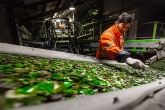 Operative at a Renewi glass recycling plant