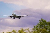 Sustainable aviation fuel