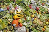 Force retailers to publish food waste figures, say MPs