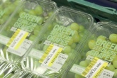 Publishing data key to tackling supermarket food waste – Tesco 
