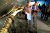 ‘Large quantities’ of plastic found in beached whales’ stomachs