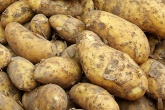 Could face cream hold a sustainable solution to potato crop waste?