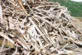 Waste wood classification change could be ‘catastrophic’ for UK recycling warn industry groupsWaste wood classification change could be ‘catastrophic’ for UK recycling warn industry groups