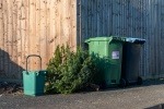 Food waste caddy and other bins outside for collection