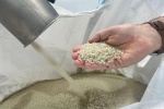 Hand holding reprocessed polypropylene pellets