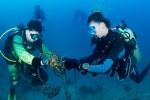 New app enables divers to chart marine litter levels