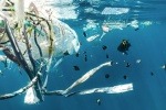Photo of plastic waste in the ocean by Naja Bertolt Jensen (unsplash)