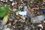 Assembly calls for London deposits study to end plastic bottle blight of Thames