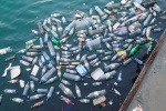 Plastic bottles floating in a river