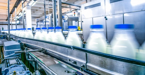 Milk bottle packaging in production