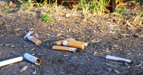 Cigarette litter