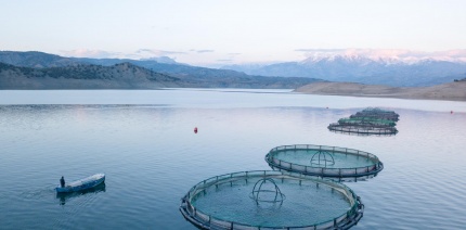 Cages for fish farming in Scotland