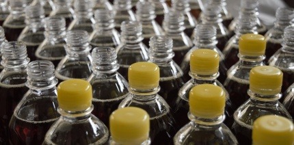 Plastic bottles lined up