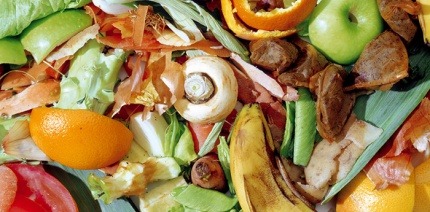 food waste close up